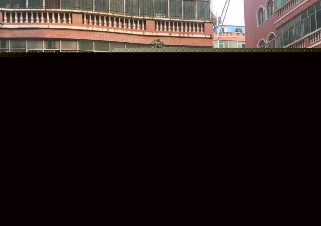 嘉宝莉白乳胶的逆袭之路(图4)