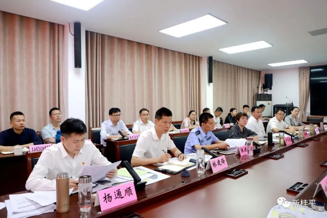 桂平市召开桂平新材料产业园项目工作推进会(图3)