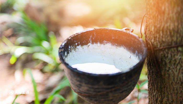 白乳胶可以粘什么 白乳胶有哪些优缺点(图2)