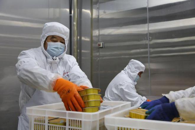 赶订单 忙投产 跑起来——敢闯敢试企业在行动③(图3)