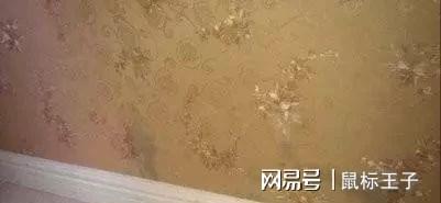 装修乳胶漆还是墙纸甲醛高老师傅说出心里线万(图5)