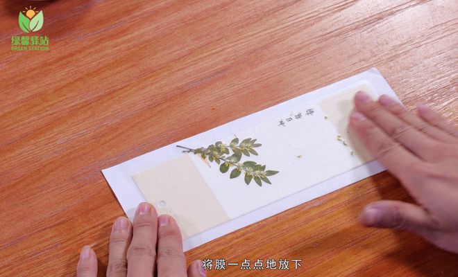 做一枚“桂花”书签锁住秋日专属味道(图6)