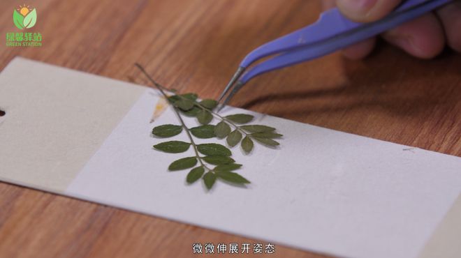 做一枚“桂花”书签锁住秋日专属味道(图3)