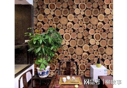 她家背景墙不刷漆不做造型直接砍棵树回家切成一片片做装饰(图2)