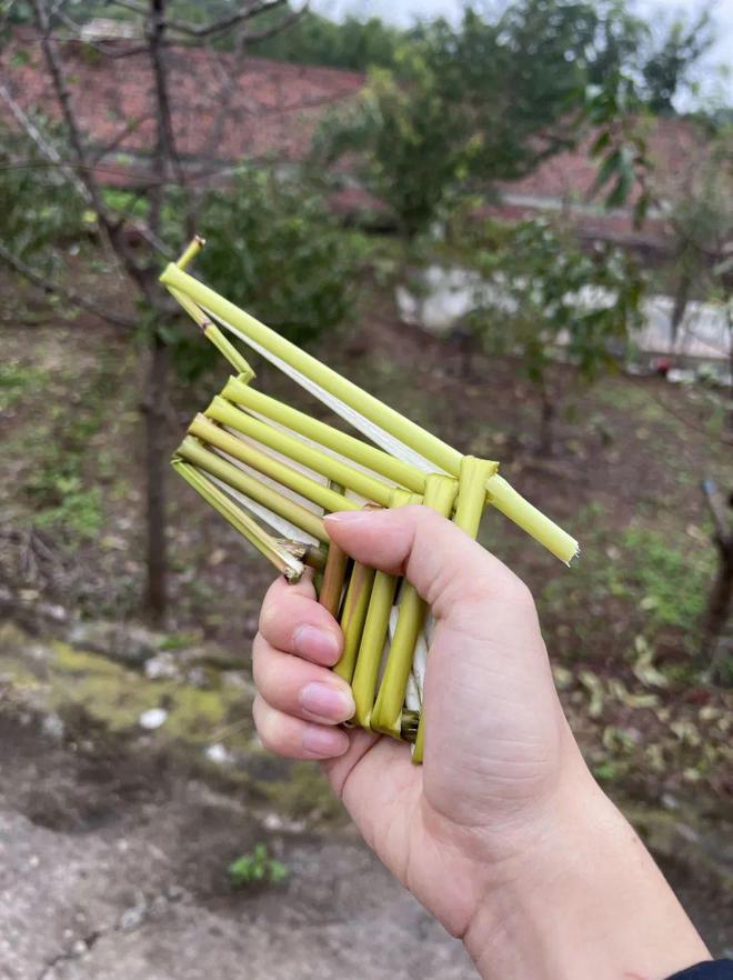 我在秋天亲手点亮了一条鱼(图4)