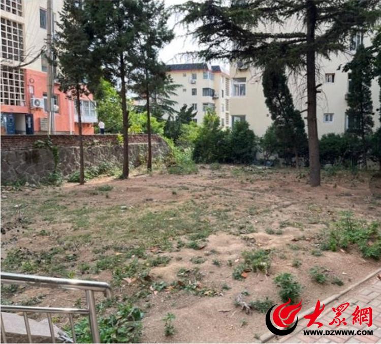 认真学思想、致力建新功青岛市城市管理局以主题教育推动中心工作提质增效(图2)