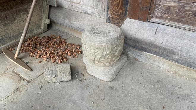 金勒马嘶芳草地建新茶香翡翠珠鲜为人知的泸州古蔺高山佳茗(图3)