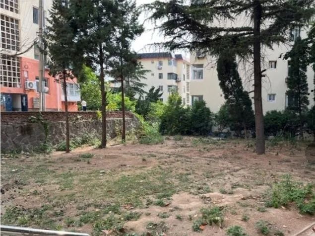 认真学思想、致力建新功市城市管理局以主题教育推动中心工作提质增效(图2)