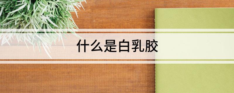 什么是白乳胶(图1)