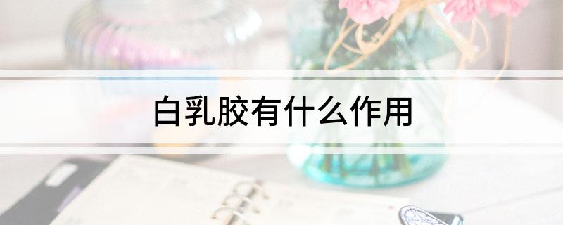白乳胶有什么作用(图1)