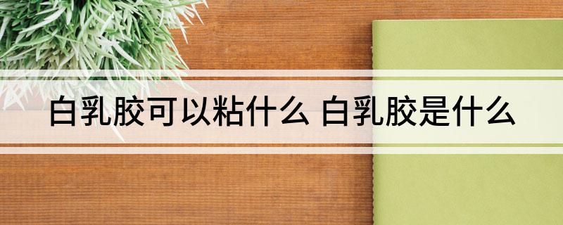 白乳胶可以粘什么 白乳胶是什么(图1)