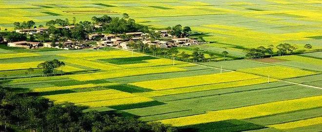 农村宅基地确权怎样认定一户一宅？是否能继承？一文读懂20个关键问题！(图1)
