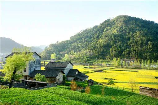 农村宅基地确权怎样认定一户一宅？是否能继承？一文读懂20个关键问题！(图4)
