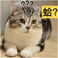 创纪录！明天淮安还要大涨！(图1)