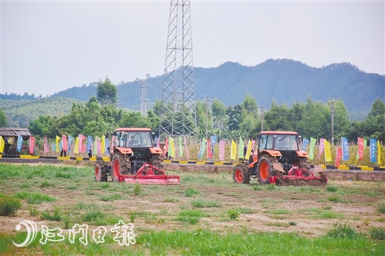 开平计划投资39亿元生态田园综合体“花落”塘口-广东省农业农村厅(图3)