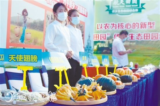 开平计划投资39亿元生态田园综合体“花落”塘口-广东省农业农村厅(图1)