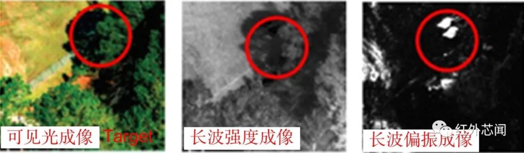偏振集成红外光电探测器研究进展与应用(图13)