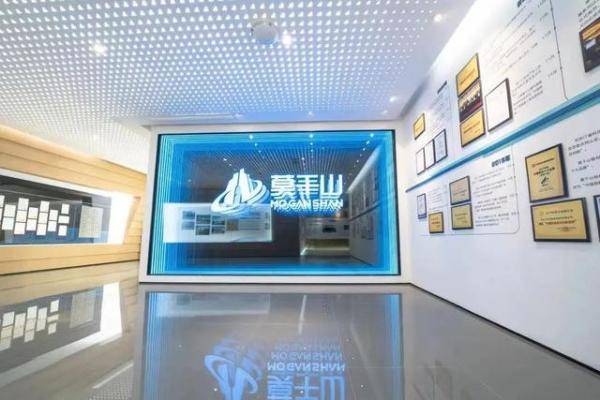 竞逐环保发展赛道莫干山家居推动行业高质量发展(图5)