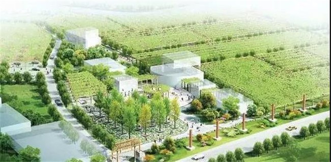 沙塘镇要变成公园之城了你还不快点来了解一下！(图7)
