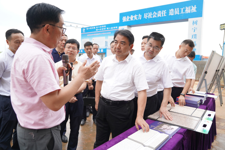 曹普华在湘阴县调研产业项目建设(图1)