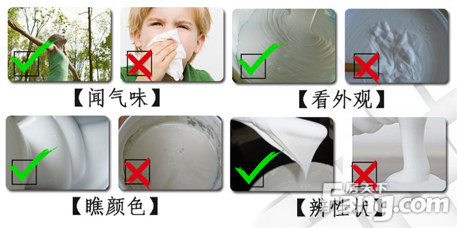 家装中如何正确选购白乳胶？(图5)