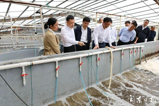 主题教育丨张永宁赴福鼎开展“四下基层贴民心、感恩奋进建新功”实践活动(图3)