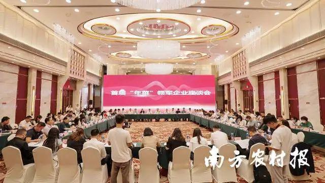 “年菜”来了！百企会师广州“年菜经济”热气腾腾开干(图1)