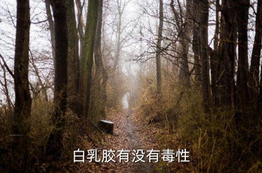白乳胶有毒吗在白乳胶制作过程中有没有毒对人体有害吗(图1)