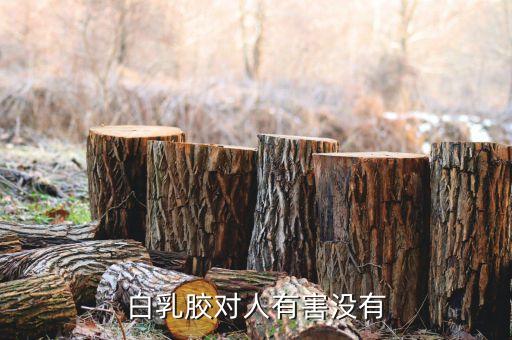 白乳胶有毒吗在白乳胶制作过程中有没有毒对人体有害吗(图2)