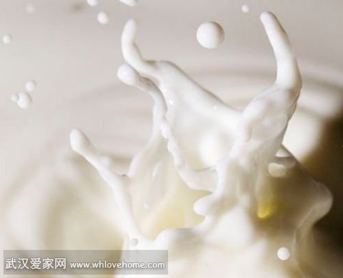 白乳胶的特点 价格和使用方法(图4)