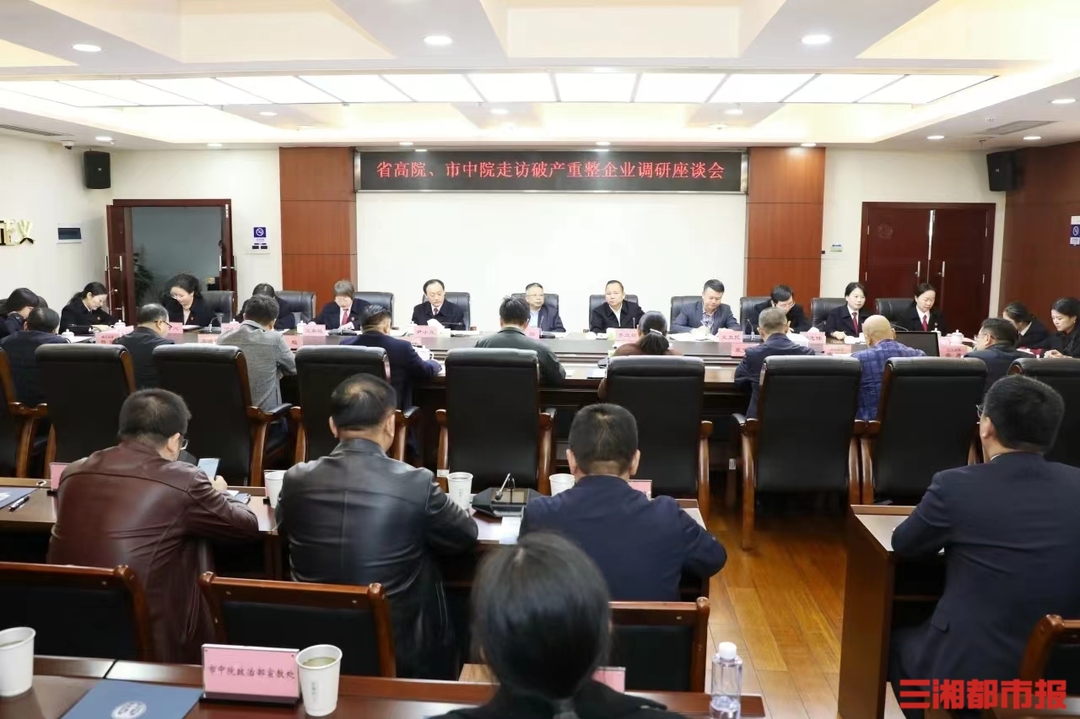 长沙中院实地走访破产重整企业并召开调研座谈会(图3)