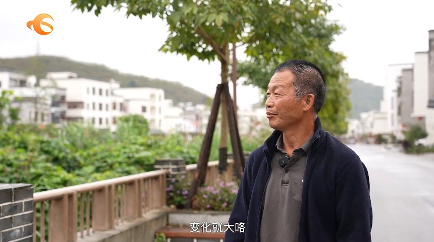 【视频】百千万工程·他山之石丨取经茂名 赋能东莞高质量发展(图2)
