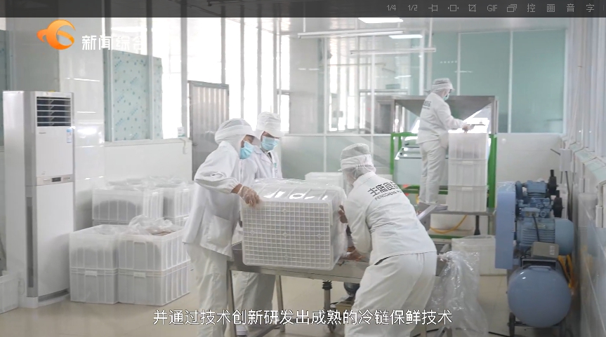 【视频】百千万工程·他山之石丨取经茂名 赋能东莞高质量发展(图8)