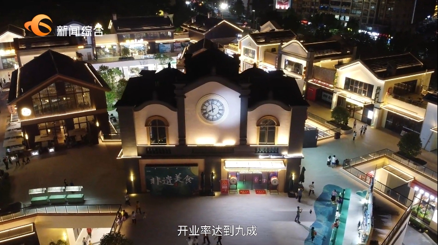 【视频】百千万工程·他山之石丨取经茂名 赋能东莞高质量发展(图11)