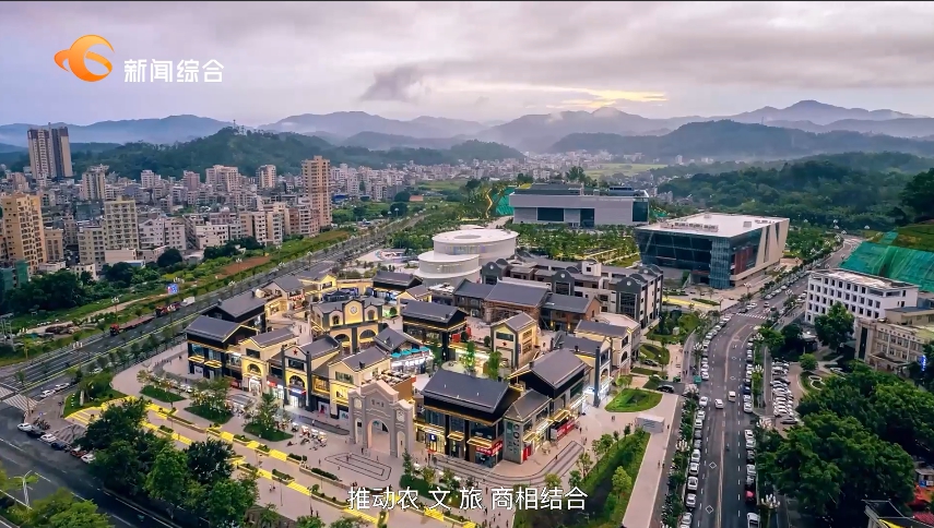 【视频】百千万工程·他山之石丨取经茂名 赋能东莞高质量发展(图12)