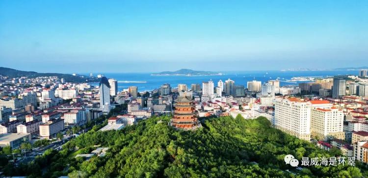 营在环翠 商通未来｜实施“强基领航”行动全力招商引资(图1)