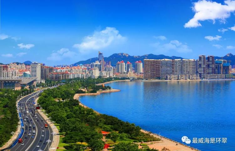 营在环翠 商通未来｜实施“强基领航”行动全力招商引资(图6)