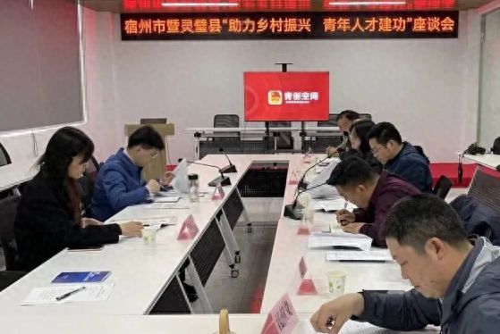 筑平台 强服务 建新功——团灵璧县委多措并举助力青年创新创业(图1)