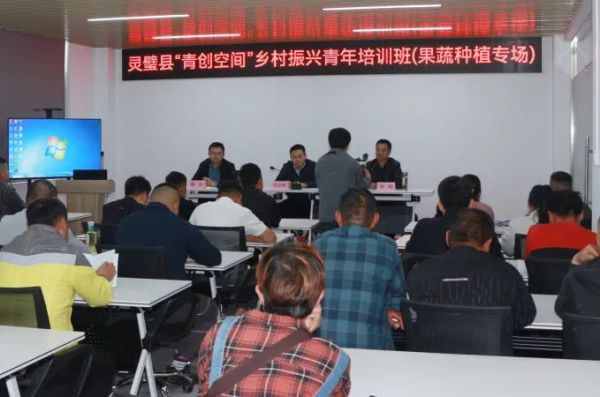 筑平台 强服务 建新功——团灵璧县委多措并举助力青年创新创业(图2)