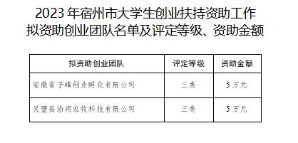 筑平台 强服务 建新功——团灵璧县委多措并举助力青年创新创业(图6)
