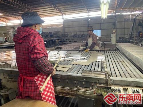 闽清县白樟镇：“四点”发力扎实推动主题教育走深走实(图4)