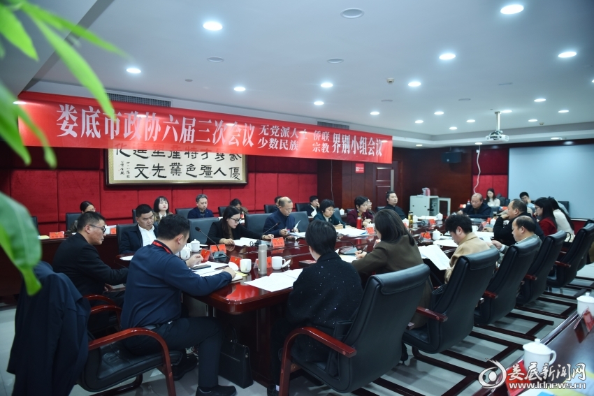 娄底市政协委员分组协商讨论政府工作报告：在协商中谏良言 在履职中建新功(图6)