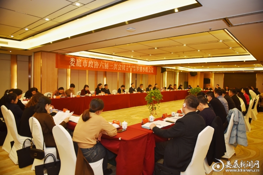 娄底市政协委员分组协商讨论政府工作报告：在协商中谏良言 在履职中建新功(图5)