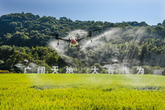 2023白云党建“年度关键词”请查收！(图5)