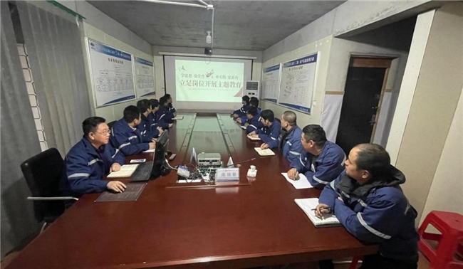 沈丘三里井项目不断深化拓展主题教育成果(图1)