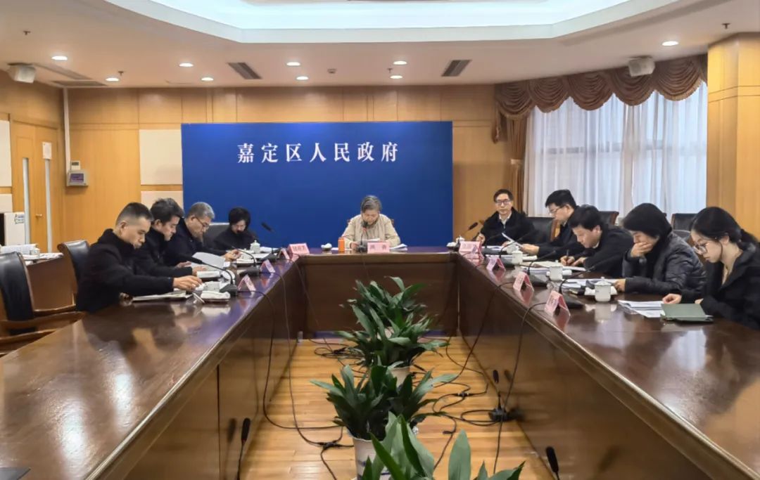 嘉定区政府党组召开主题教育专题民主生活会(图1)
