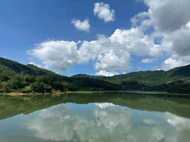 开新局 建新功 永湖镇高标准高质量推动“百千万工程”落地见效(图9)