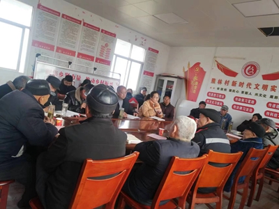 罗山县庙仙乡：组织生活“汇”聚“心”动力(图3)