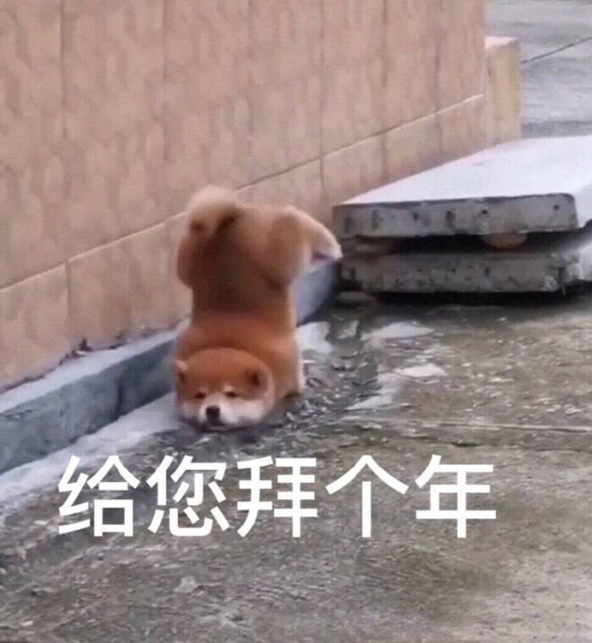 我们高段位的人选春节礼品真的没有瓶颈···(图1)