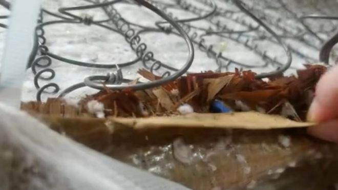 我们高段位的人选春节礼品真的没有瓶颈···(图3)